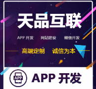 开发一款电商APP