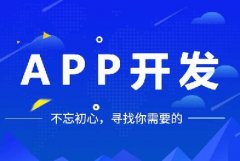 开发一个app多少钱